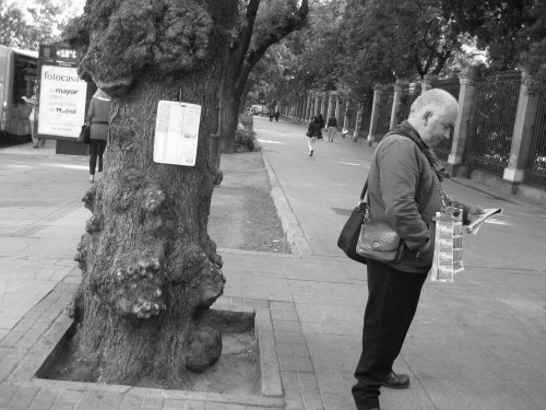 Lottery Seller, Paseo del Prado, Madrid
