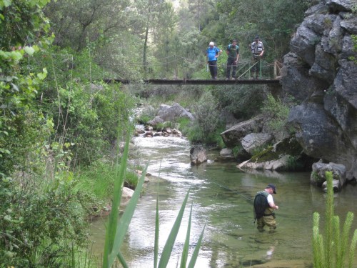 Fly Fishing in La Cerrada de Elías