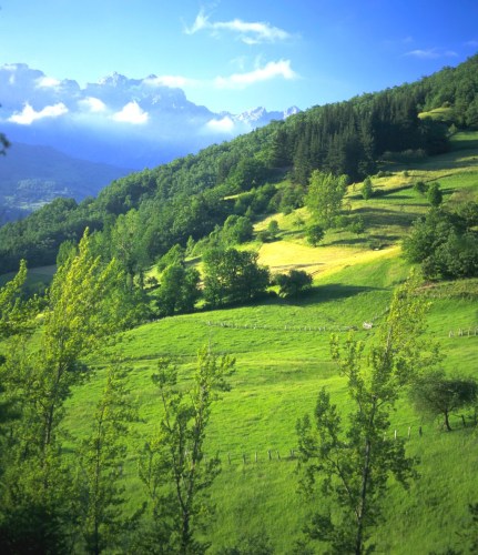 Asturias, Picos de Europa